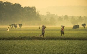 Kerala-Village-Morning-Nibodha
